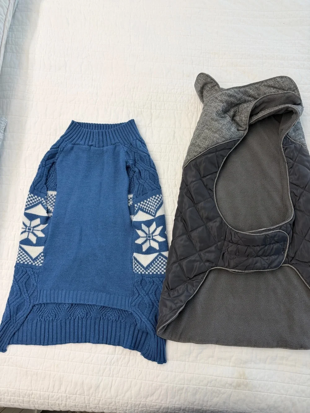 Eddie Bauer winter dog